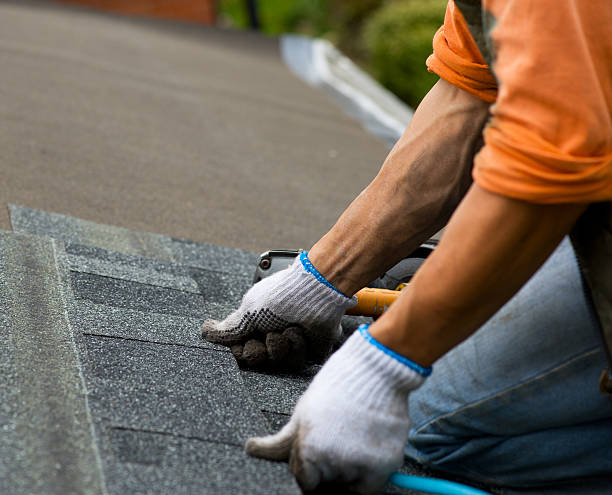 Residential Roof Replacement in Dover, DE